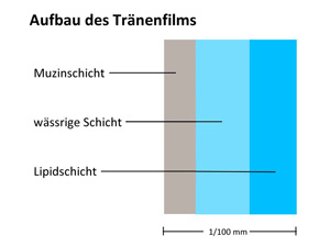 Tr&auml;nenfilm Aufbau