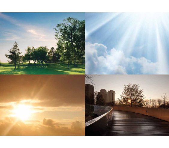Signature VII