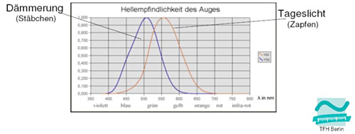 Hellempfindlichkeit Auge