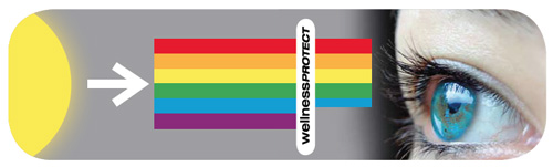 wellnessPROTECT