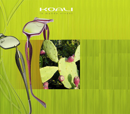 KOALI
