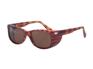 Übersetzbrille