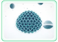 hydrophobe Teil verbindet sich mit der Linsenoberfläche