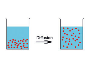 Diffusion
