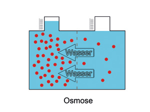 Osmose