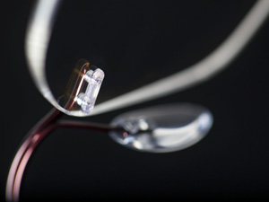 Silhouette Flex Lens Lock