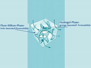 Fluor Silikon Phase