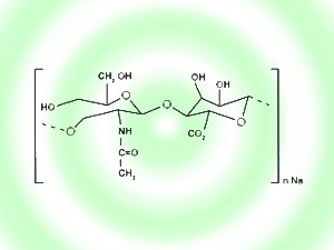 Biopolymer Hyaluronat Gel