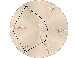 ysis Profil