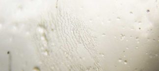 Ablagerungen auf Kontaktlinsen