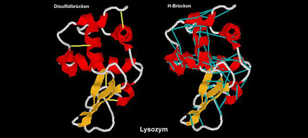 weiche Kontaktlinsen und All-in-One-Lösungen