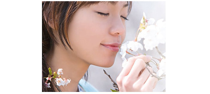 Japanisches Flair in Wien