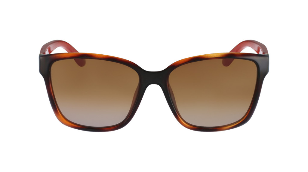 Salvatore Ferragamo 716S Face 207