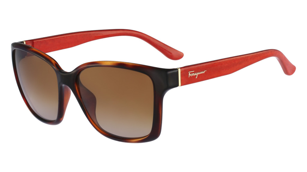 Salvatore Ferragamo 716S Profile 207