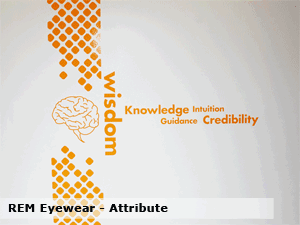 REM Eyewear Attribute