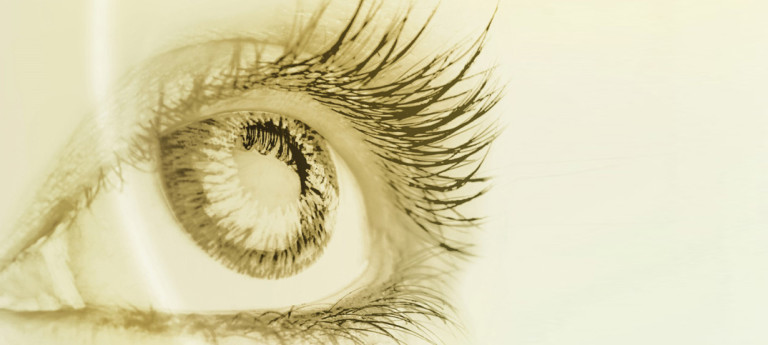 1. Tag der Augenoptik & Optometrie