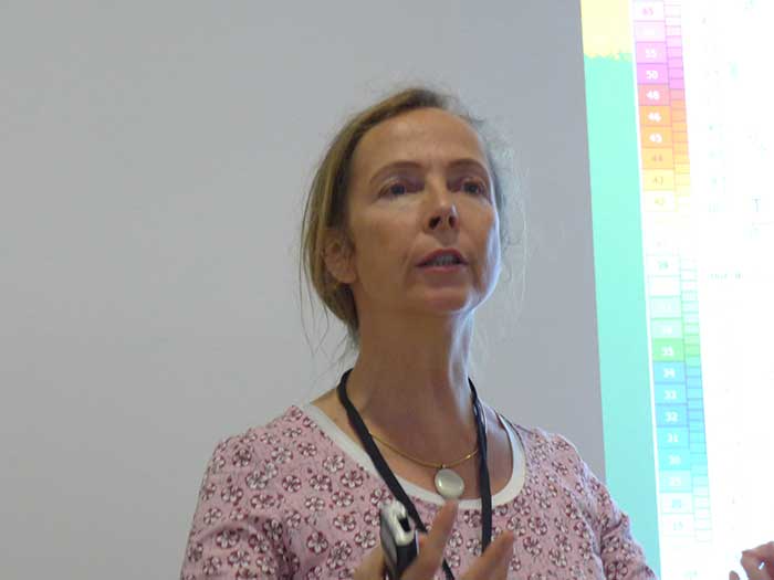 Silke Lohrengel