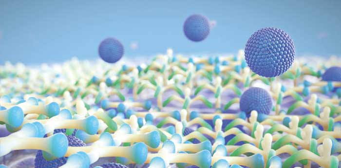 Lipid-Nanotröpfchen, die mittels eines einzigartigen Wirkmechanismus transportiert werden, beheben die Schäden im Tränenfilm
