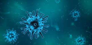 Corona Virus überlbt mehr als drei Stunden in der Luft und über 72 Stunden auf Oberflächen