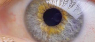 Augenmessung und Augen-Check auf Top-Niveau