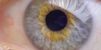 Augenmessung und Augen-Check auf Top-Niveau