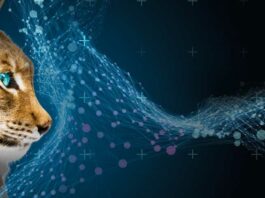 Das LUCHS-Partnerprogramm wird smart Das LUCHS-Partnerprogramm wird smart