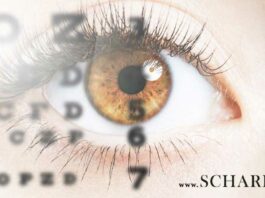 OPTICON launcht das Webportal scharfsinnhochzwei.at