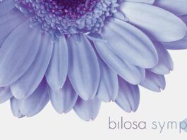 Hochkarätige, internationale Vortragende beim Bilosa Symposium im Oktober