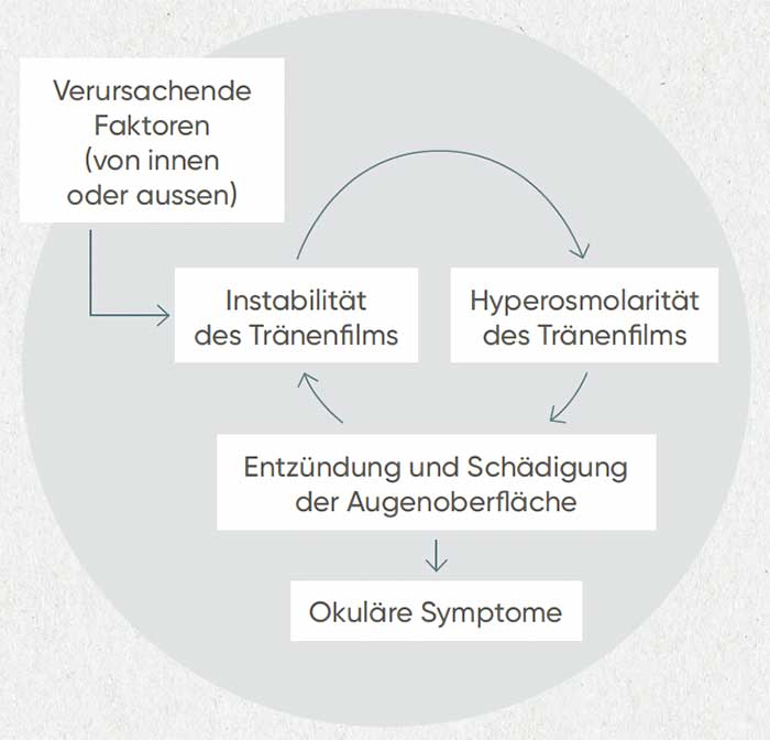 Der Kreislauf des Trockenen Auges