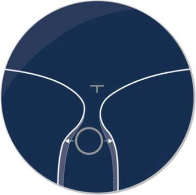 SiiA® Berechnungstechnologie 2.0